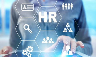 阿里前政委張麗俊 不懂業(yè)務戰(zhàn)略的傳統(tǒng)HR正在被淘汰