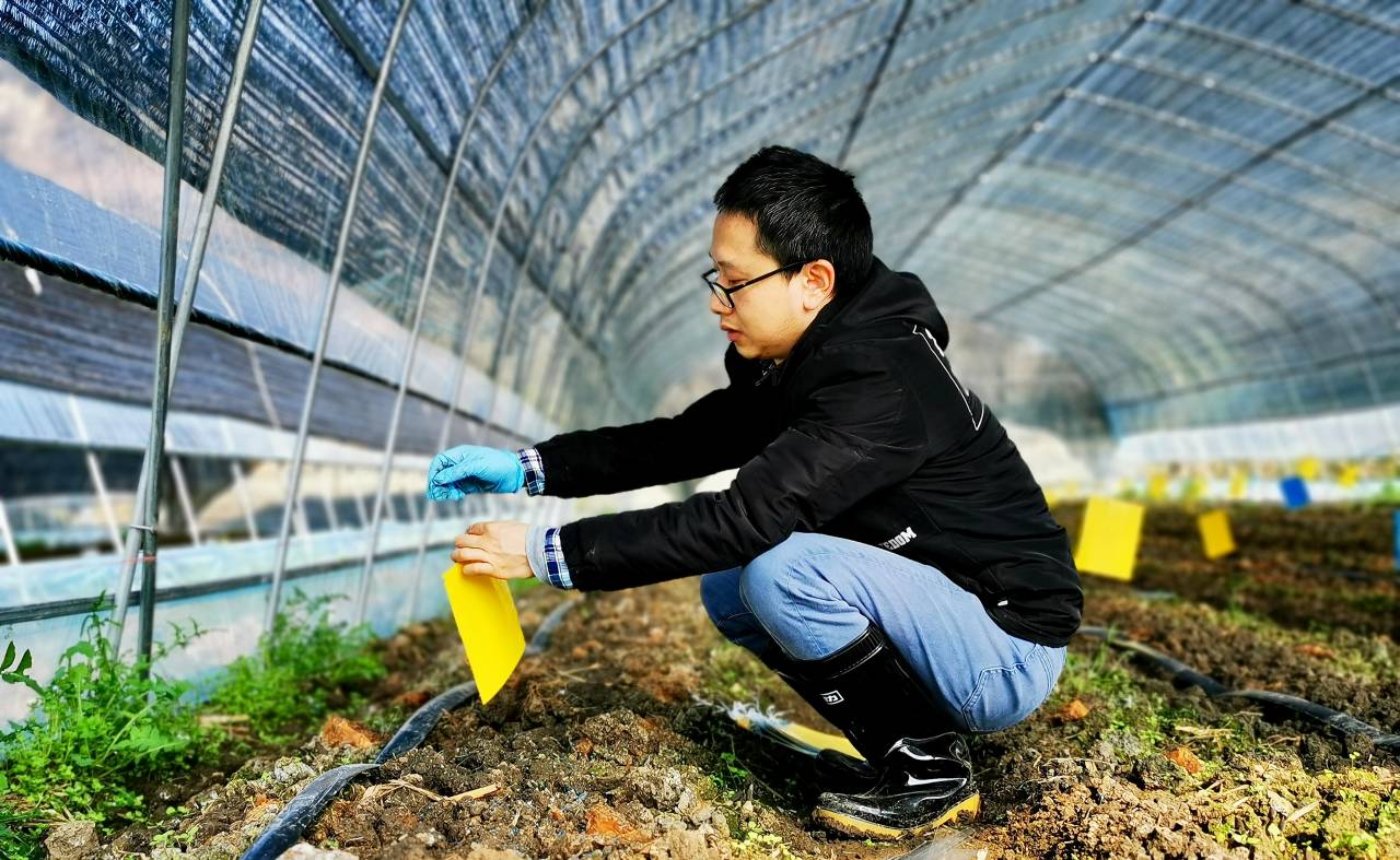 扎根田野，書寫大地——記貴州理工學(xué)院教授柏松的自然科學(xué)研究之路
